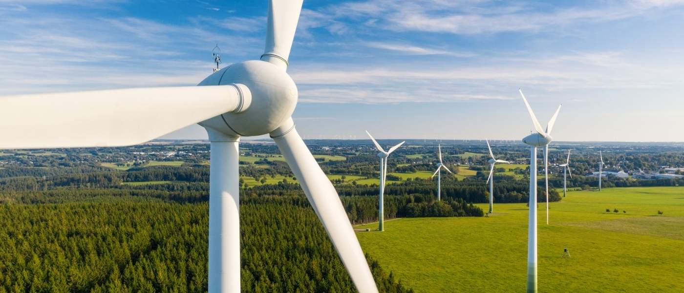 sostenibilidad e innovación del futuro