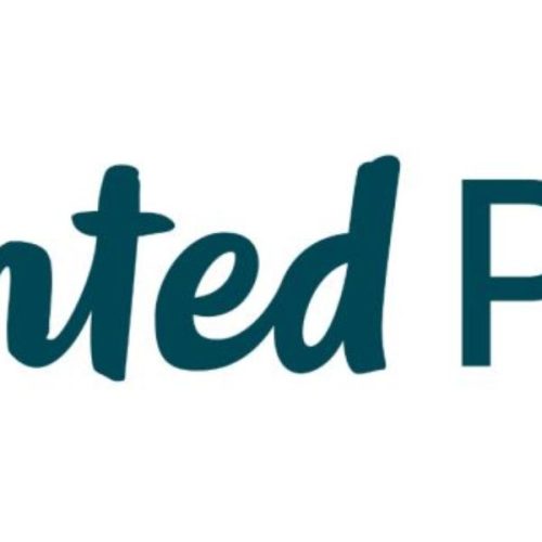 Vinted Pay