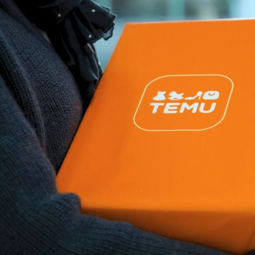 TEMU (1)